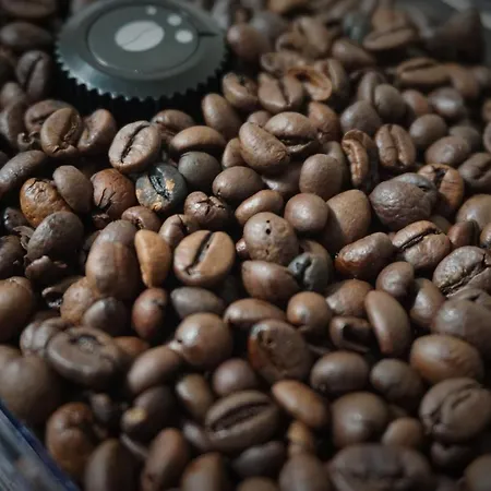 In Bingen Appartement *